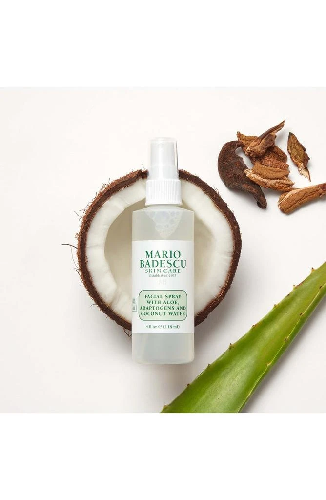 Mario Badescu Clean Facial Spray - Travel Size 2