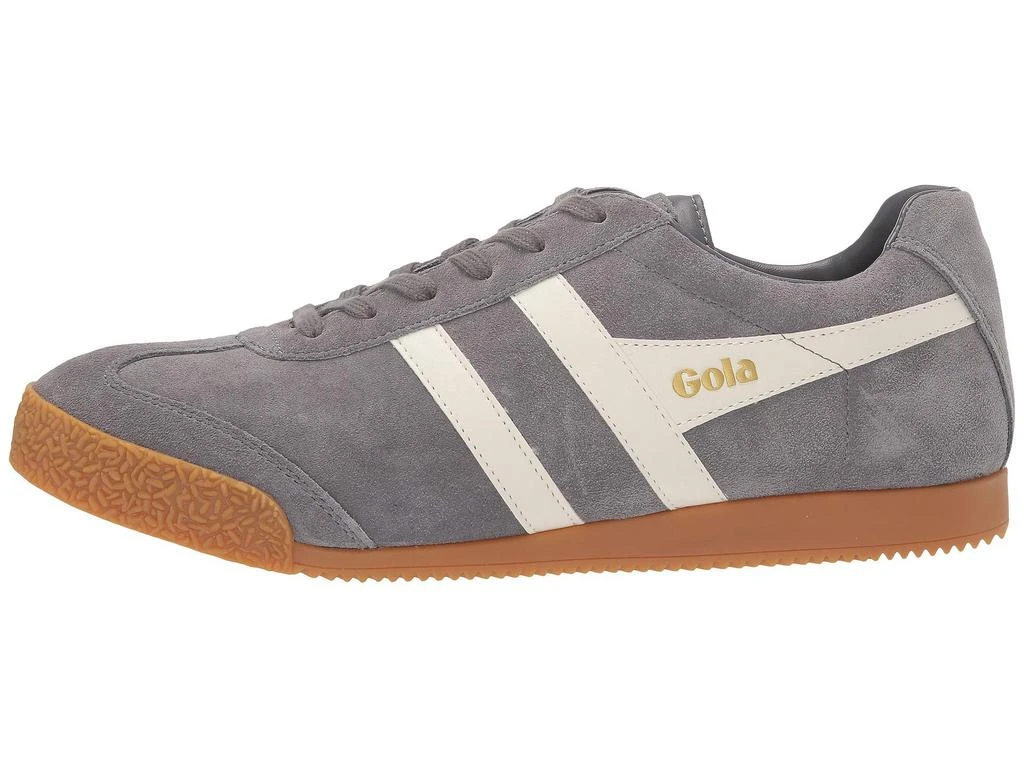 Gola Harrier 4
