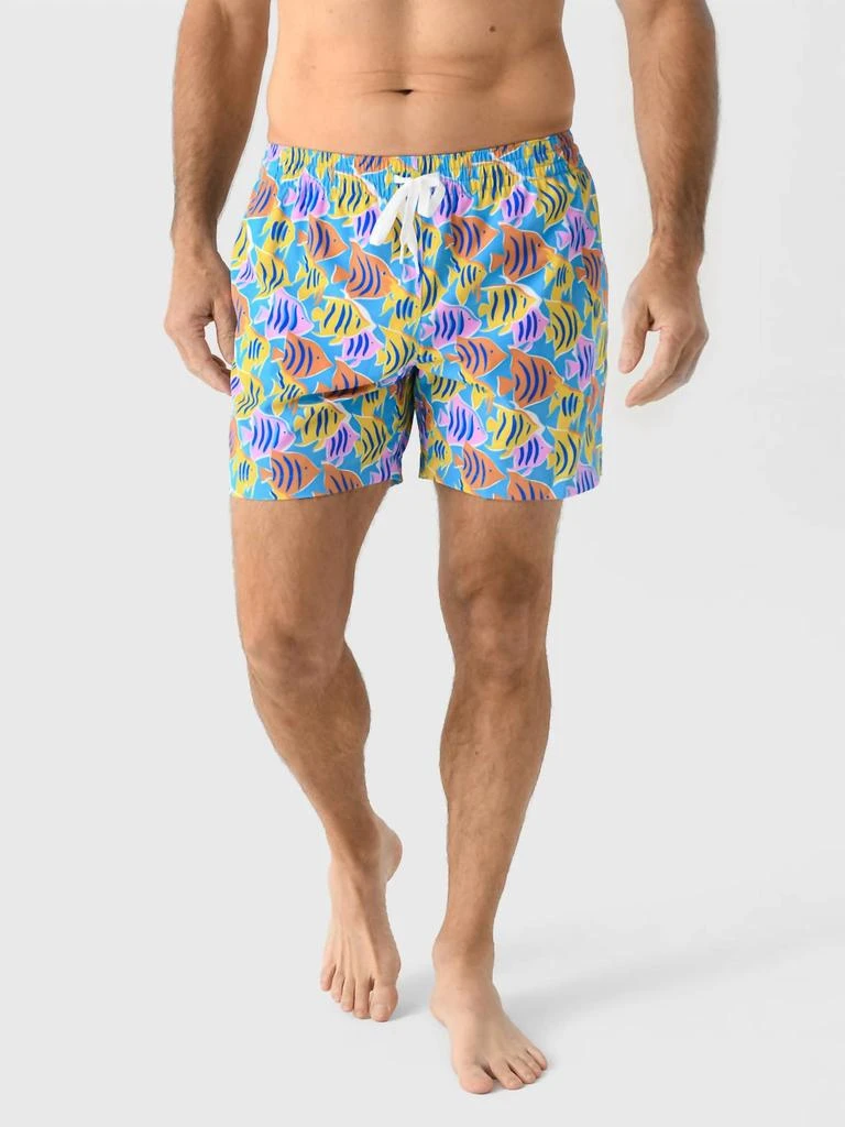Chubbies Chubbies - The Fish Tanks 5.5" Classic Swim Trunks