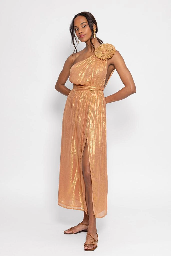 Sundress Robe Longue Laeticia - Sable 5