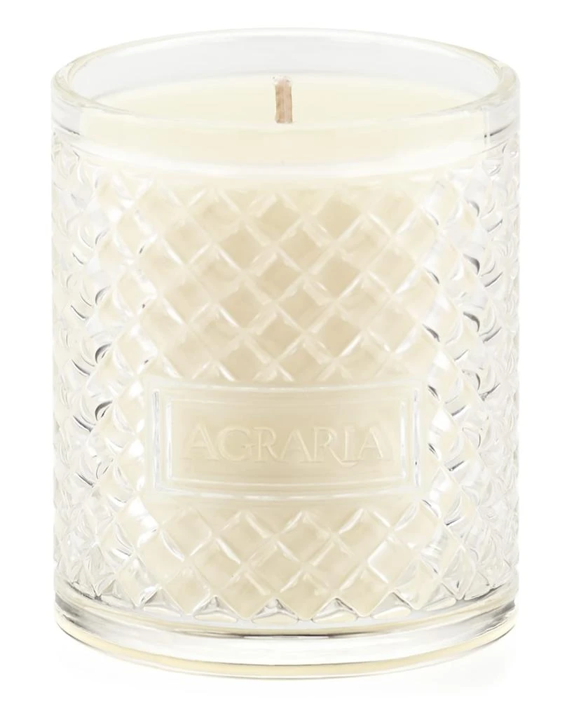 Agraria 7 oz. Lime & Orange Perfume Candle 2