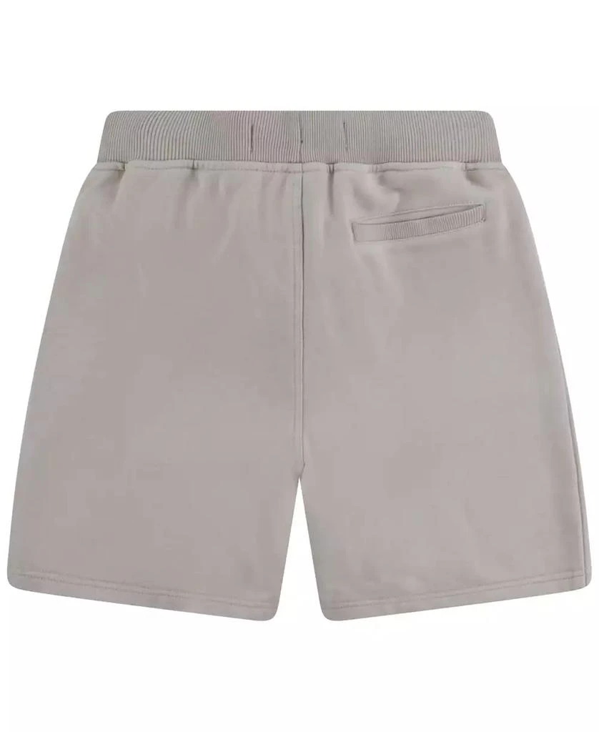 Levi's Big Boys Lived in Shorts 2