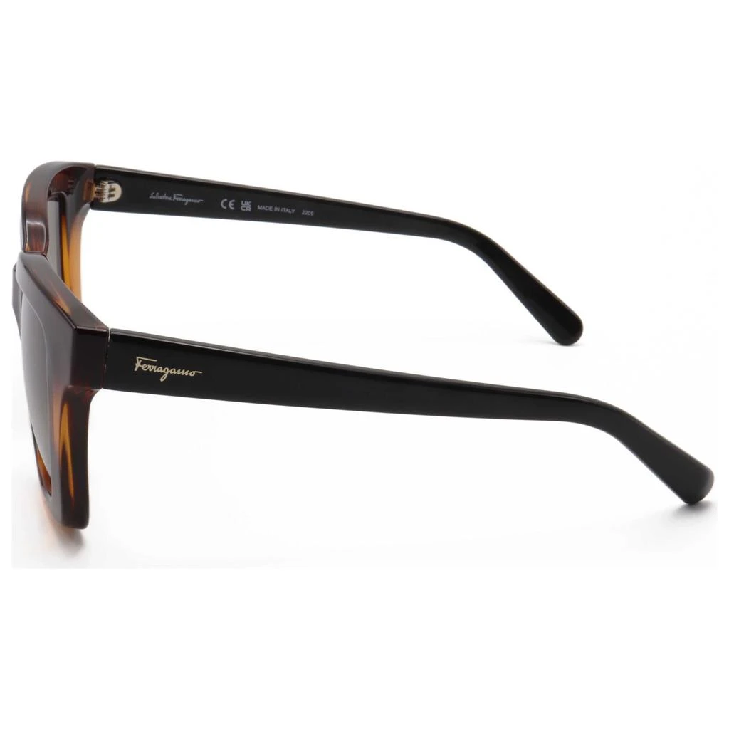 Salvatore Ferragamo Ferragamo Women's Sunglasses SF955S-214 2