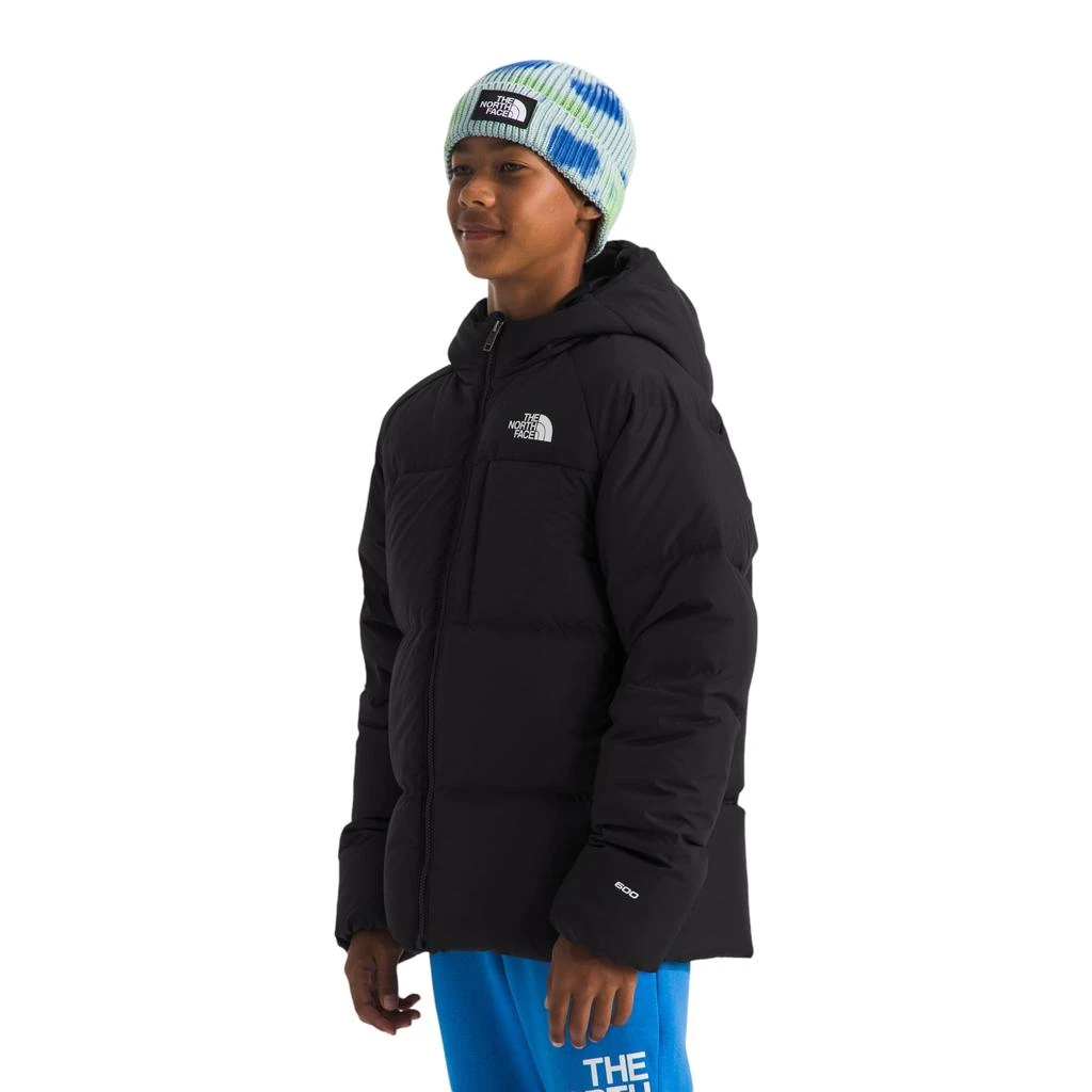 The North Face The North Face North Down Hooded Jacket - Boys
 5