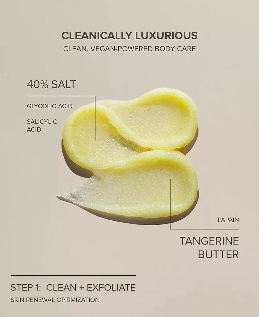 NUDESTIX NUDEBODY Exfoliating Butter Body Wash, 8.46 oz. 2