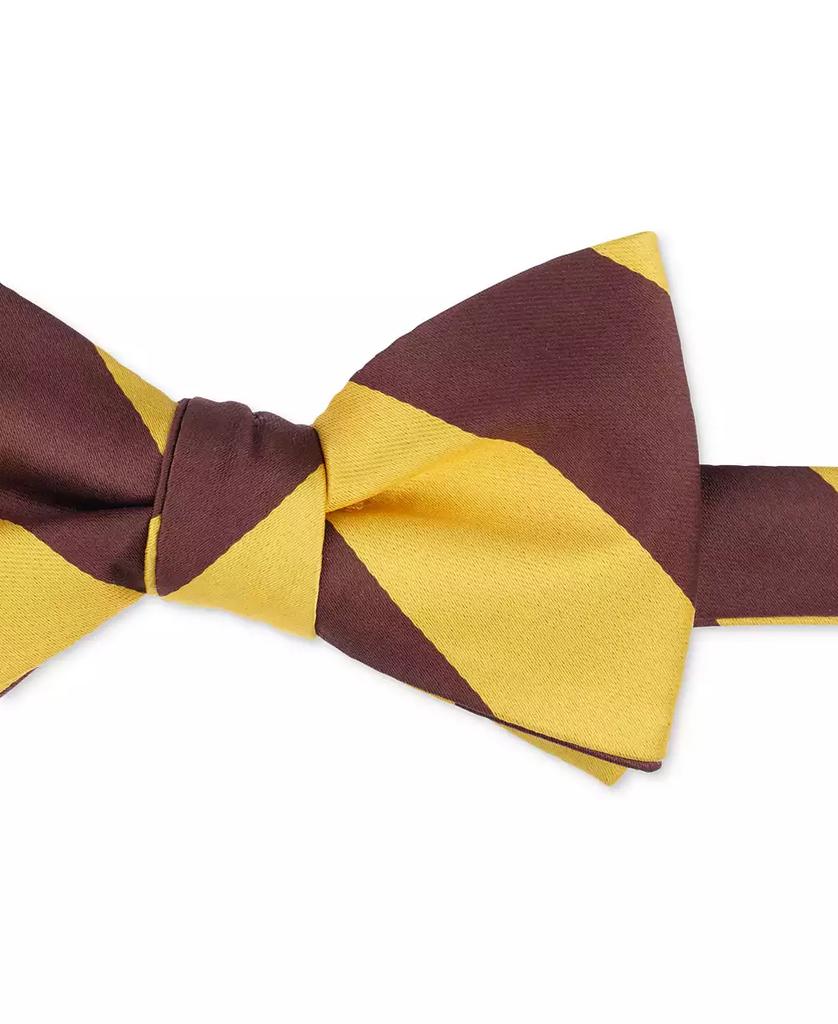 Tayion Collection Men's Brown Gold Stripe Bow Tie