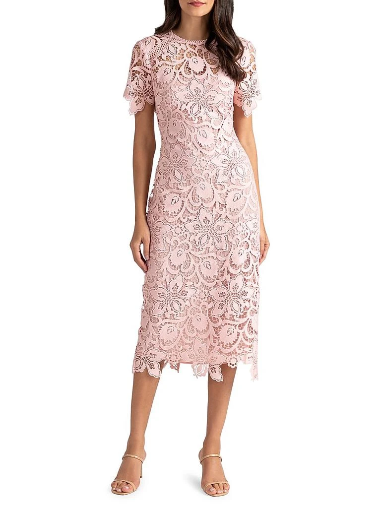 Shoshanna Kiriya Lace Sheath Dress 3