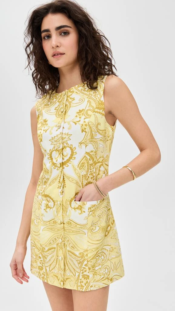 Hemant and Nandita Mini Dress 1