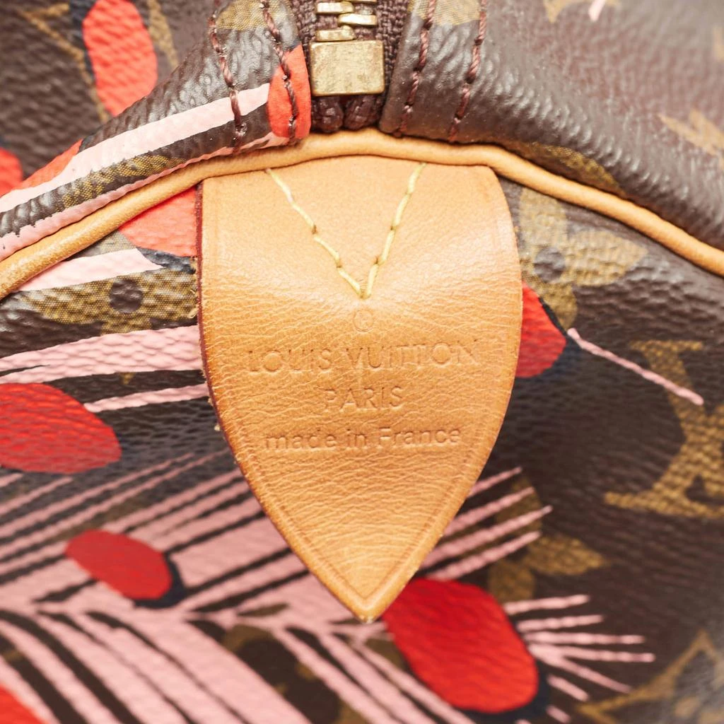 Louis Vuitton Louis Vuitton Monogram Canvas Limited Edition Jungle Dots Speedy 30 9