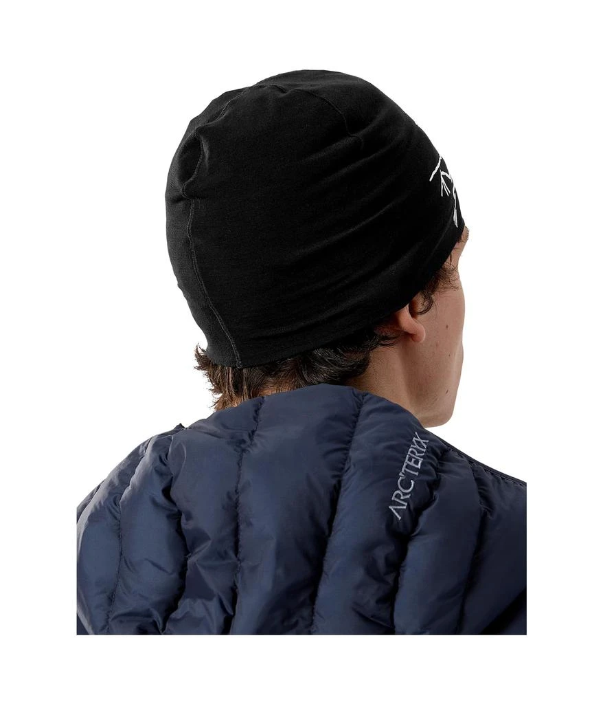 Arc'teryx Satoro Merino Toque 3