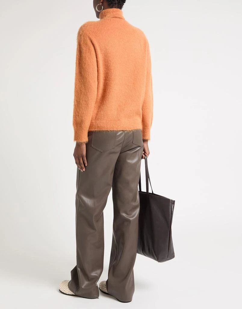 Alberta Ferretti Turtleneck 3