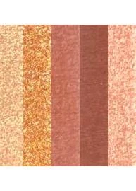 Chanel LES BEIGES ~ Eyeshadow Palette 6