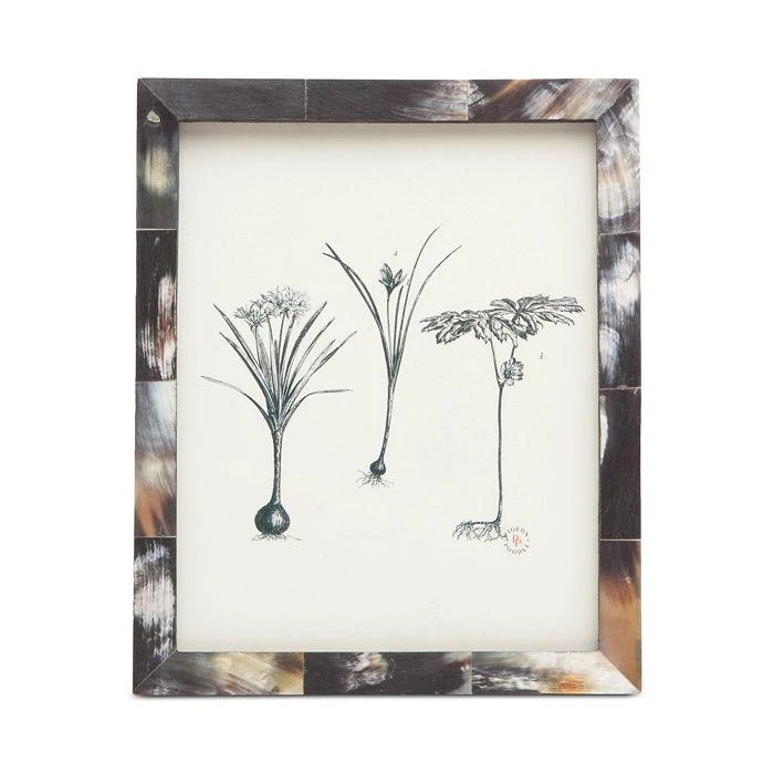Pigeon & Poodle Essen Horn Frame, 8" x 10" 1
