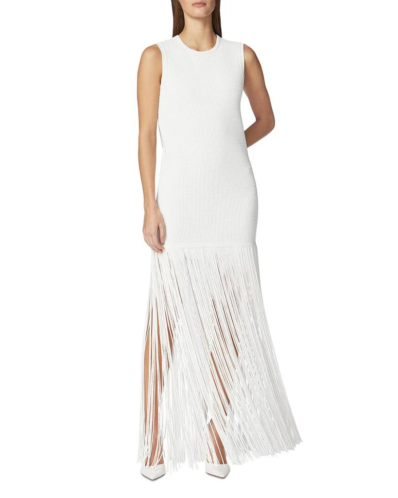 Herve Leger Ottoman Ribbed Shadow Stripe Fringe Gown 1