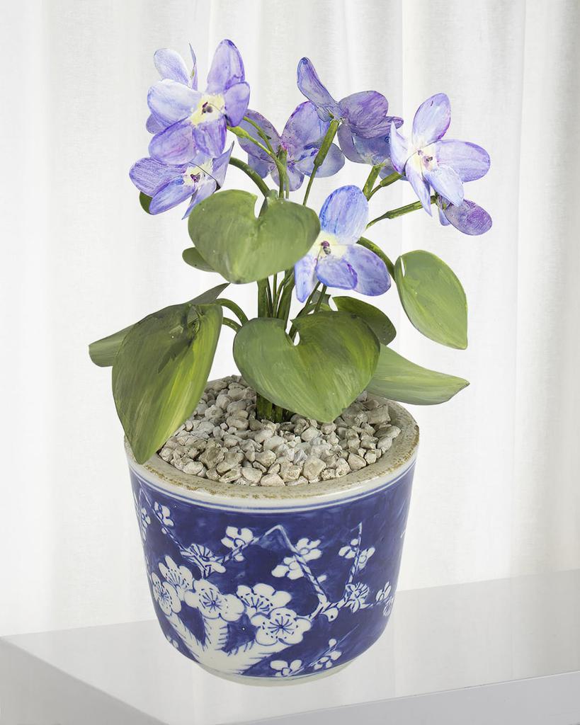 Tommy Mitchell Violet February Birth Flower in Ceramic Pot