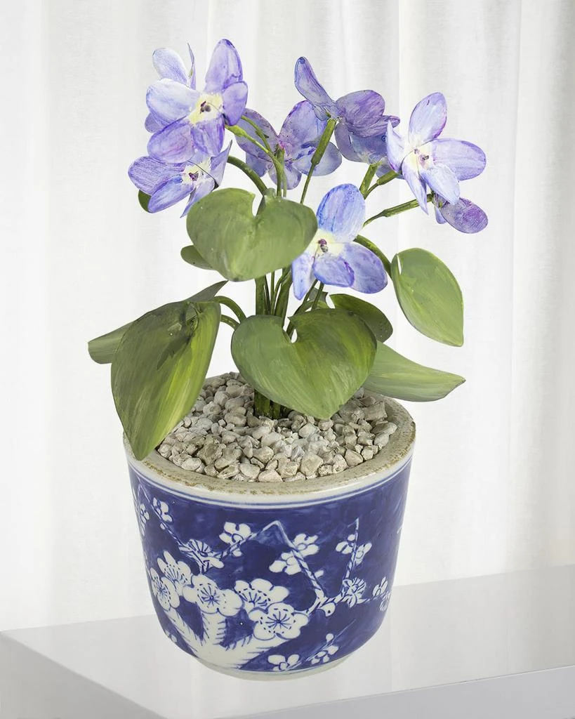 Tommy Mitchell Violet February Birth Flower in Ceramic Pot 1
