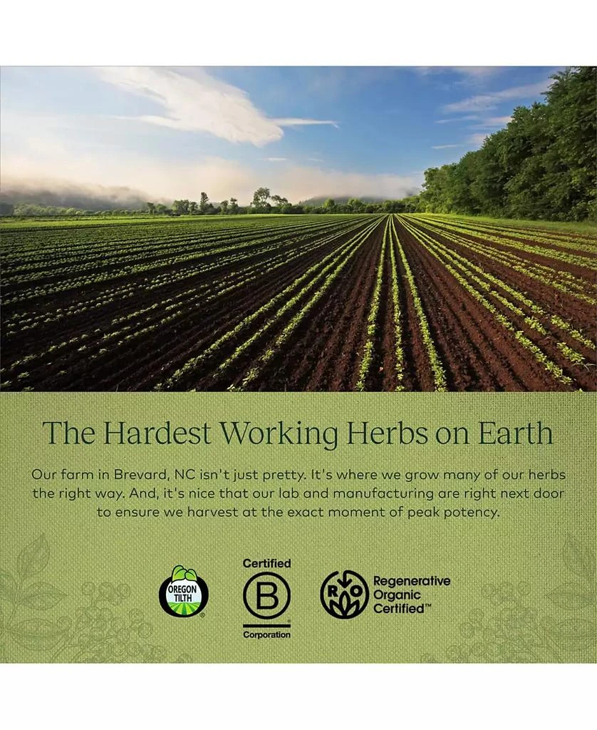 Gaia Herbs Black Elderberry - Daily Immune Support Supplement to Help Maintain Well-Being- With Black Elderberries and Acerola Fruit for Antioxidant Support - 120 Capsules (60-Day Supply) 5