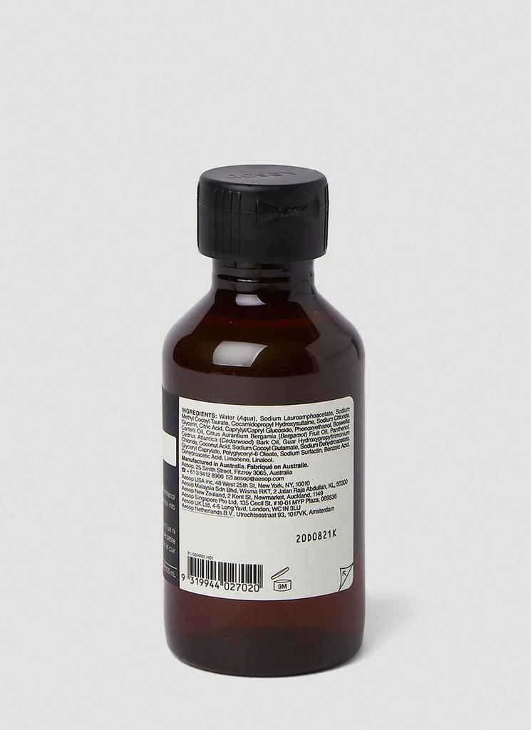 Aesop Shampoo 2