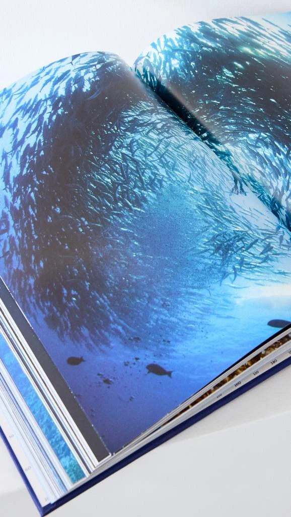 Assouline Ocean Wanderlust 4