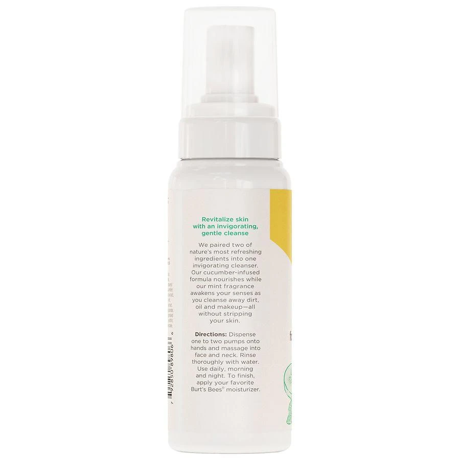 Burt's Bees Refreshing Foaming Face Cleanser Cucumber and Mint 7