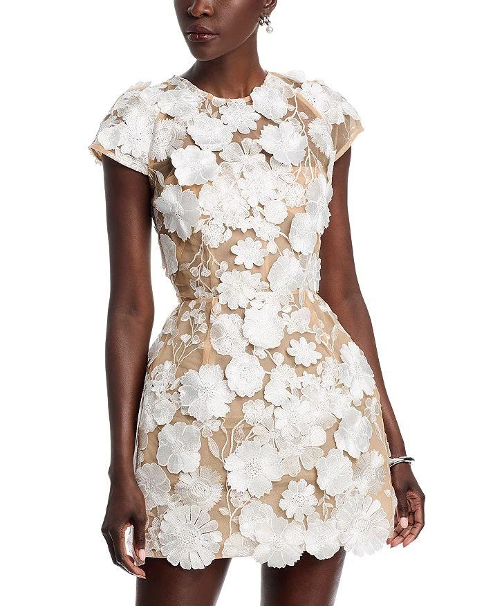 carolina mini dress The Ritz Mini Dress