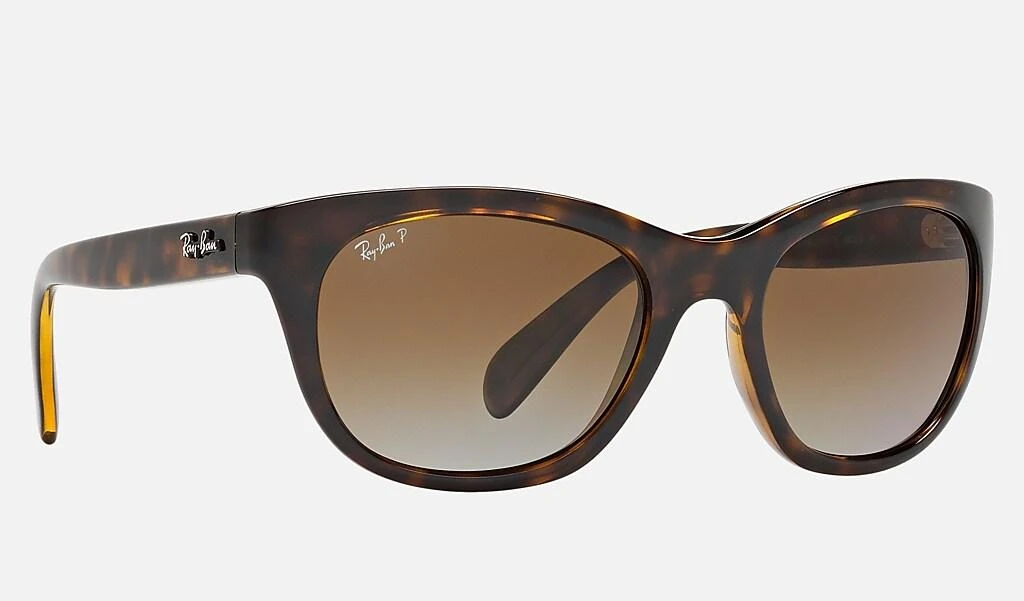 Ray-Ban RB4216 6