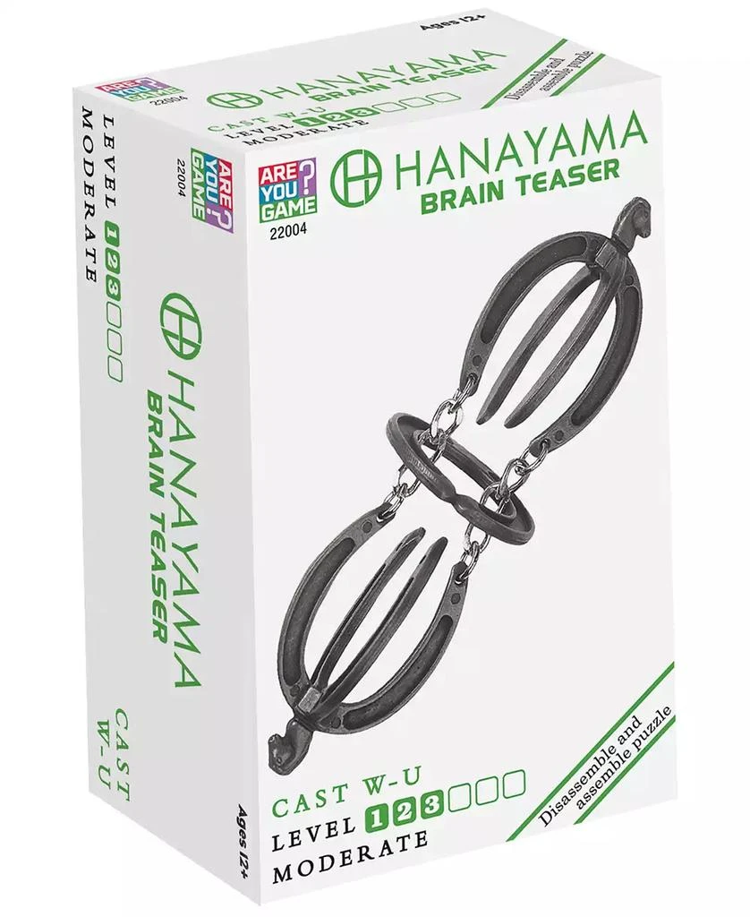 AreYouGame Hanayama Level 3 Cast Puzzle, 2 Piece 2
