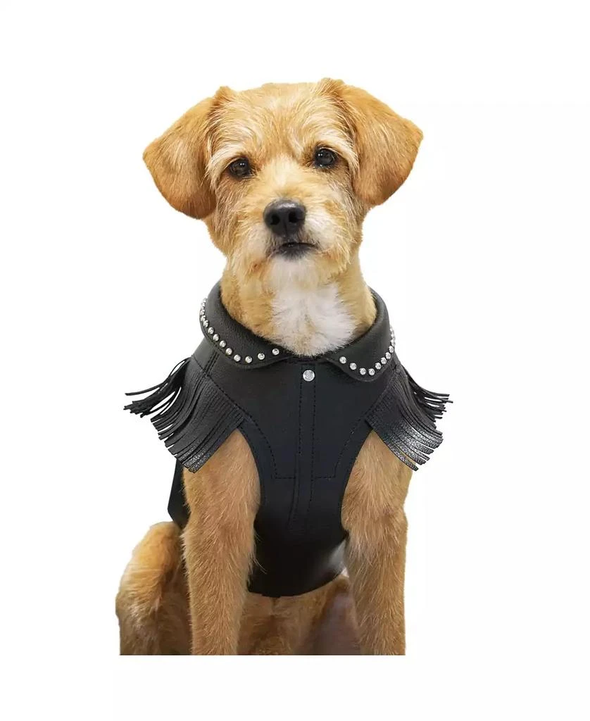 Blueberry Pet Silver-Powered Freshness Microfiber Leather Dog Harness Jacket 3