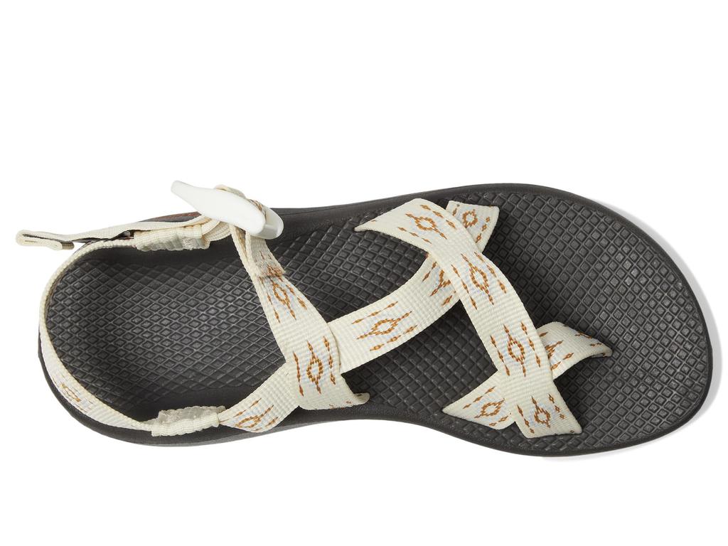 Chaco Z/2 Cloud