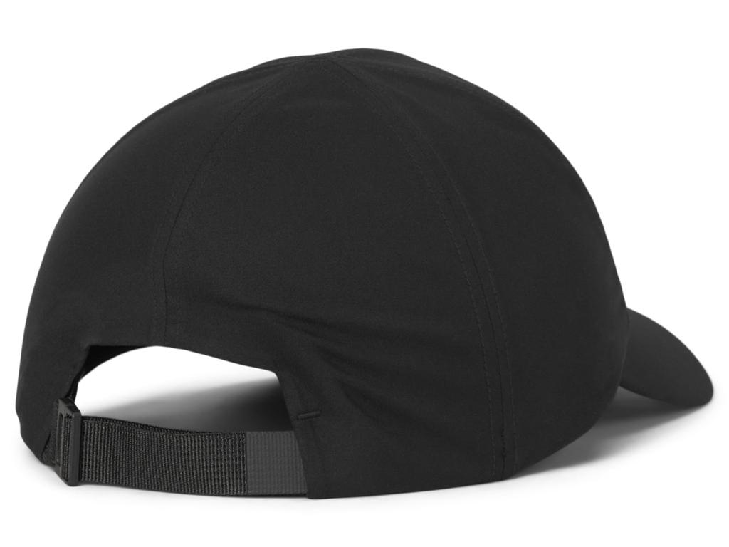 Arc'teryx Bird Word Cap