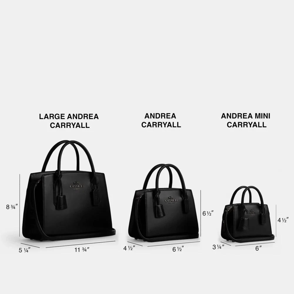 Coach Andrea Carryall Bag In Signature Jacquard 7