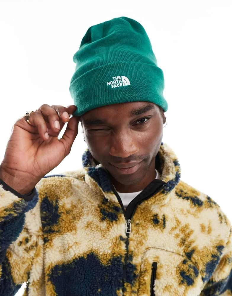 The North Face The North Face Norm logo beanie hat in green 1