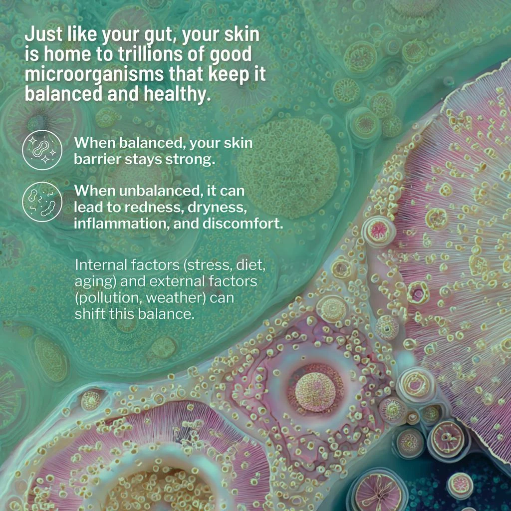 Dr. Brandt Skincare HYDRO BIOTIC 4