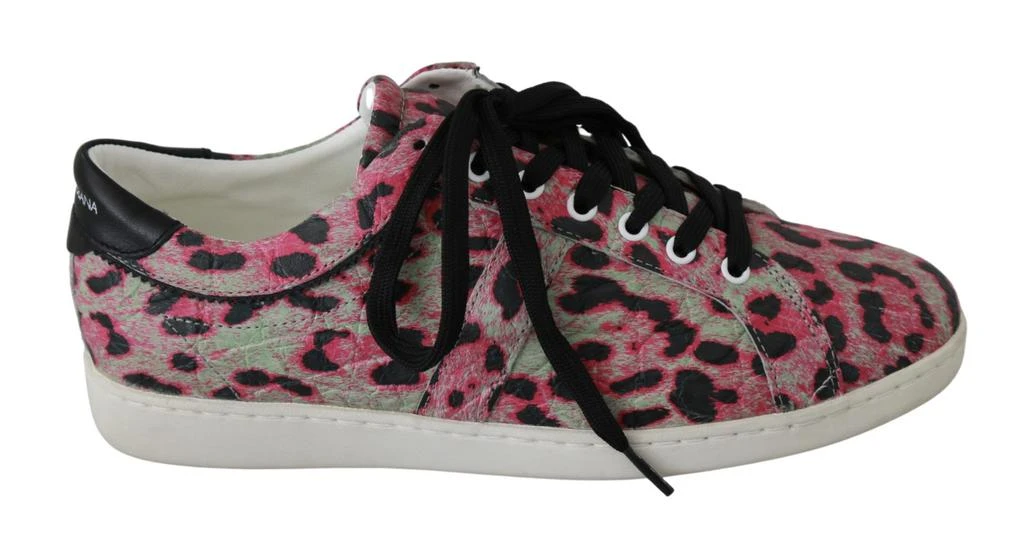 Dolce 
Gabbana pink Leopard Print Training Leather Flat Women
s Sneakers