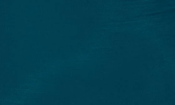 Miraclesuit Razzle Dazzle Siren One-Piece Swimsuit 6