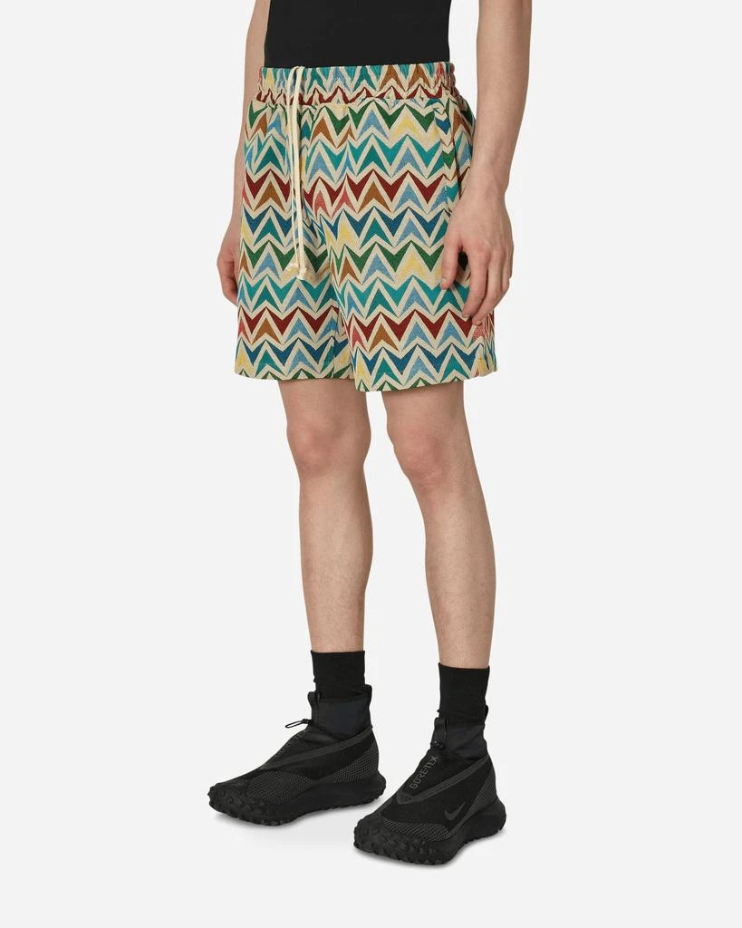 Pleasures Basket Woven Shorts Multicolor 2