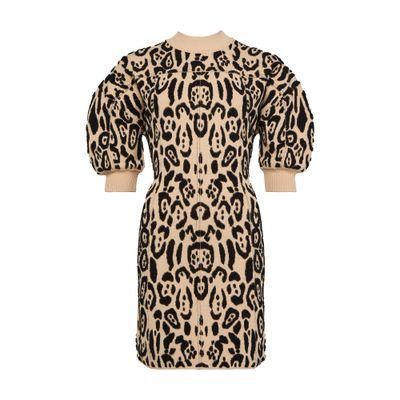 Max Mara Dolmen printed dress