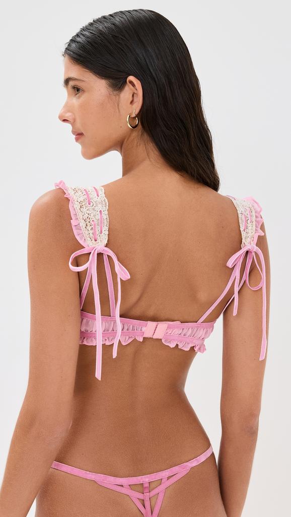 For Love & Lemons Dauphine High Waisted Panties