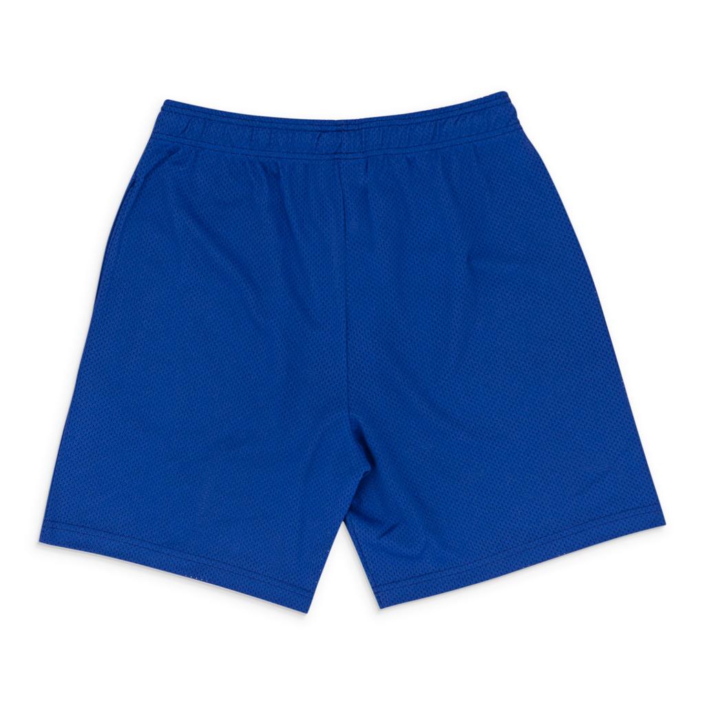 Warren Lotas BAT REAPER MESH PURPLE SHORTS