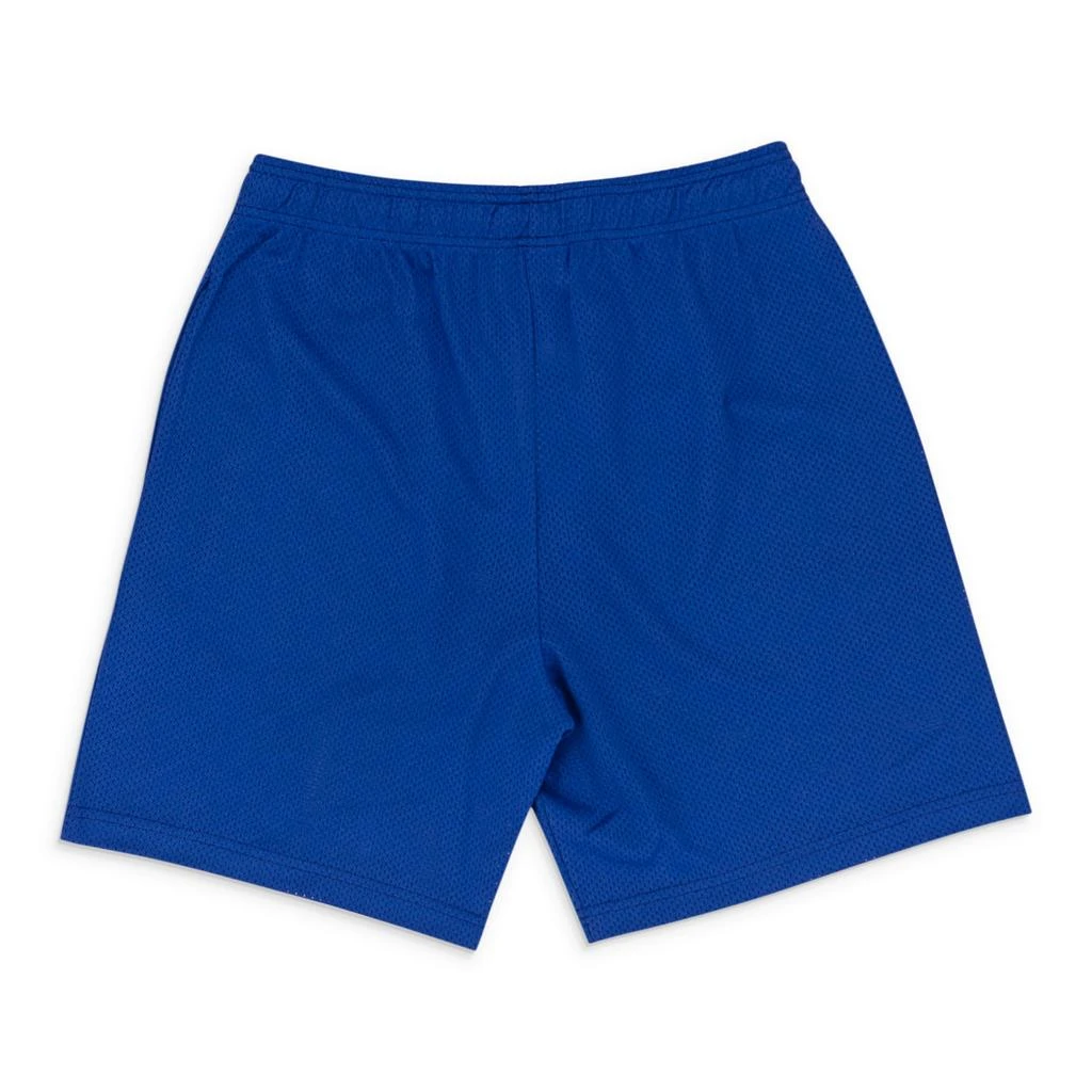 Warren Lotas BAT REAPER MESH PURPLE SHORTS 1