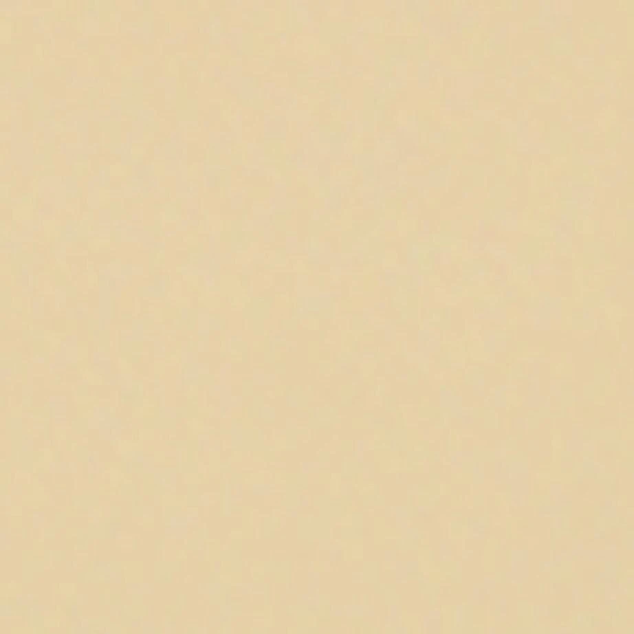 Maria Tash Yellow Gold Pearl Eternity Hoop Earring (6.5mm) 4