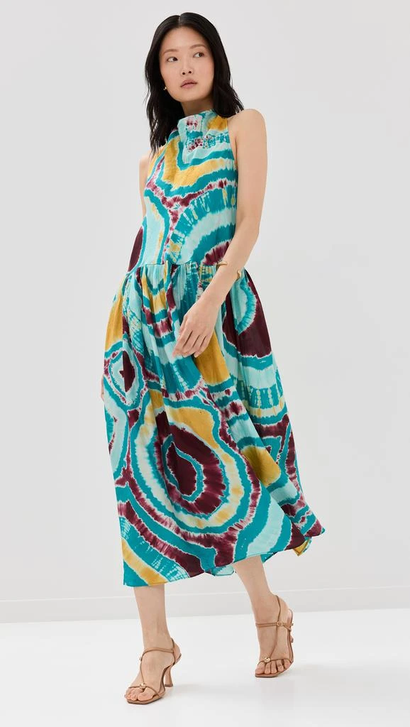 Ulla Johnson Assa Dress 4
