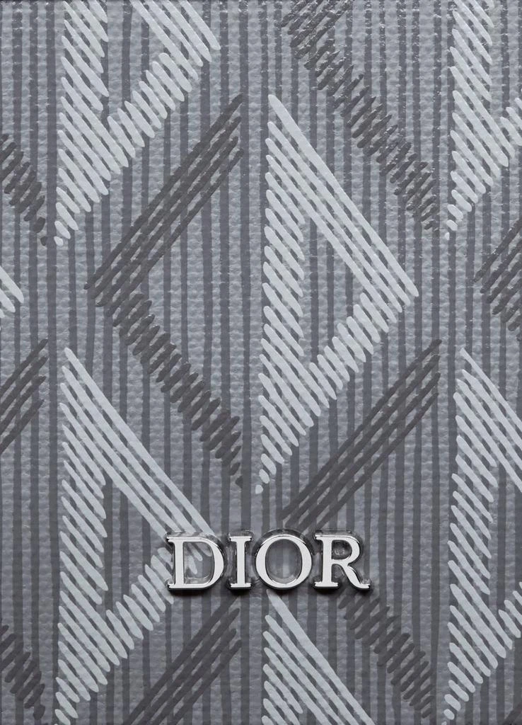 Dior Safari Bag with Strap 5