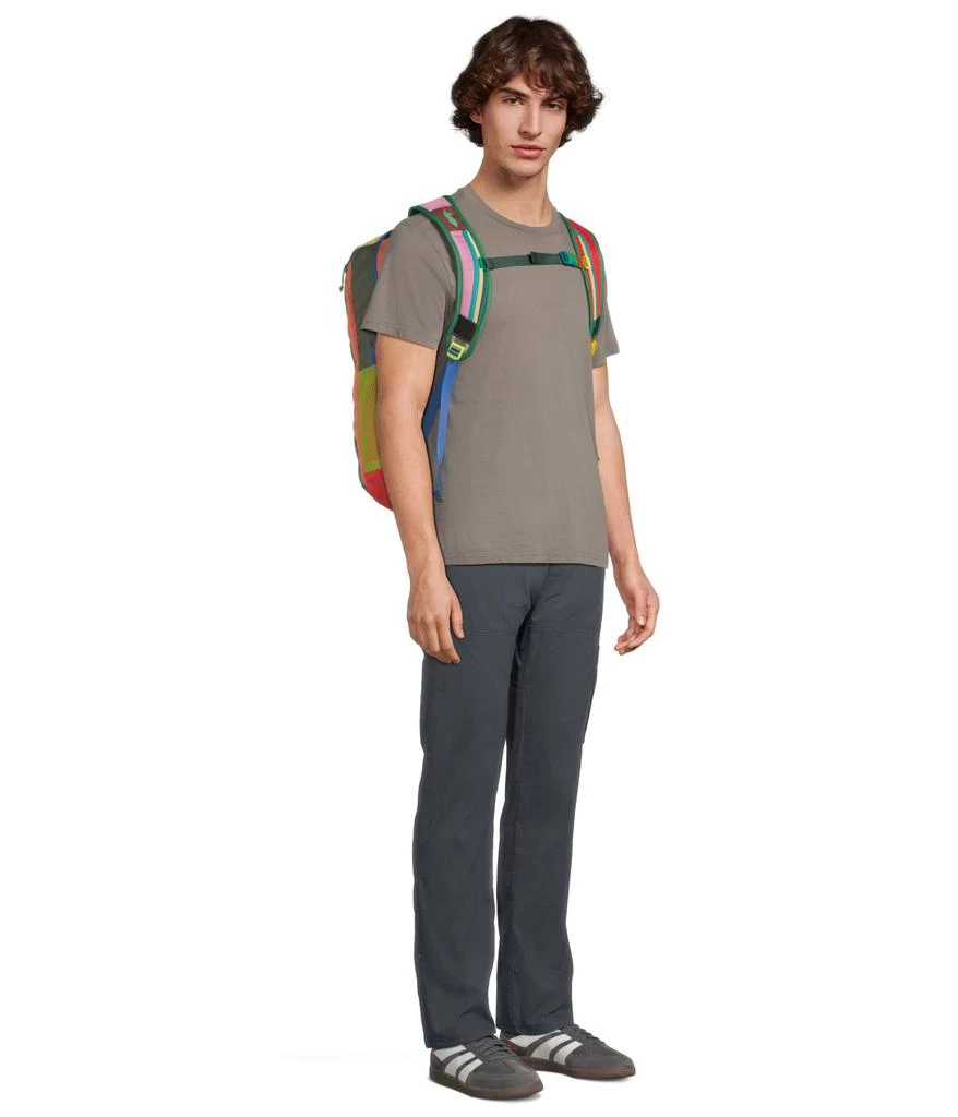 Cotopaxi Batac 24l Backpack 6