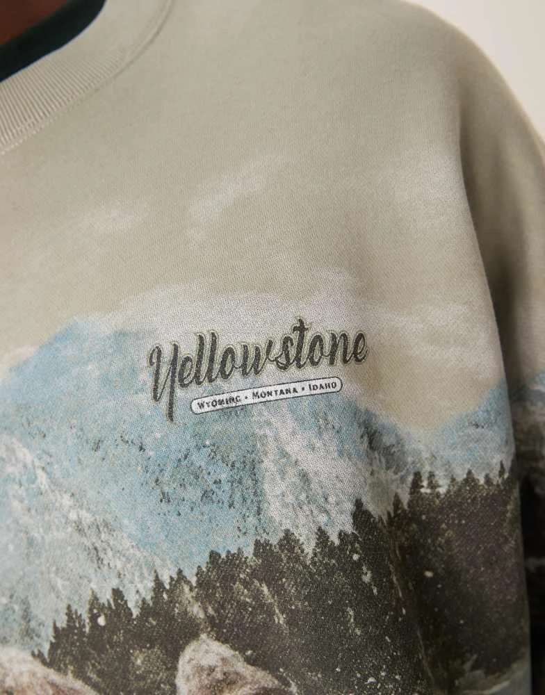 Abercrombie & Fitch Abercrombie & Fitch National Parks Yellowstone print sweatshirt in light green 4