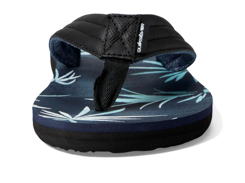 Quiksilver Carver Print 2