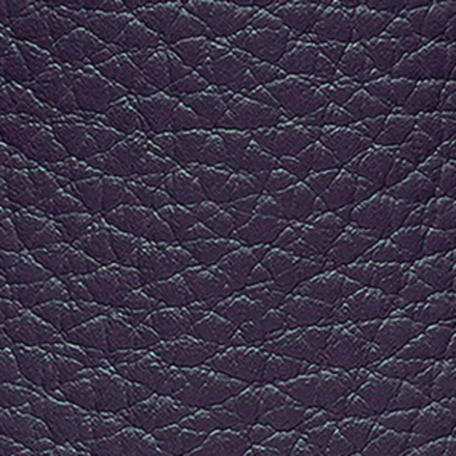 Caran d'Ache Leather Léman Pen Holder 2