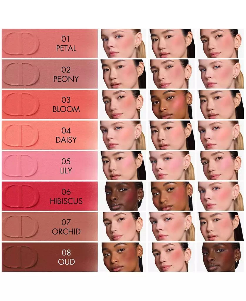 Dior Forever Blush Soft Filter Liquid Blush 9