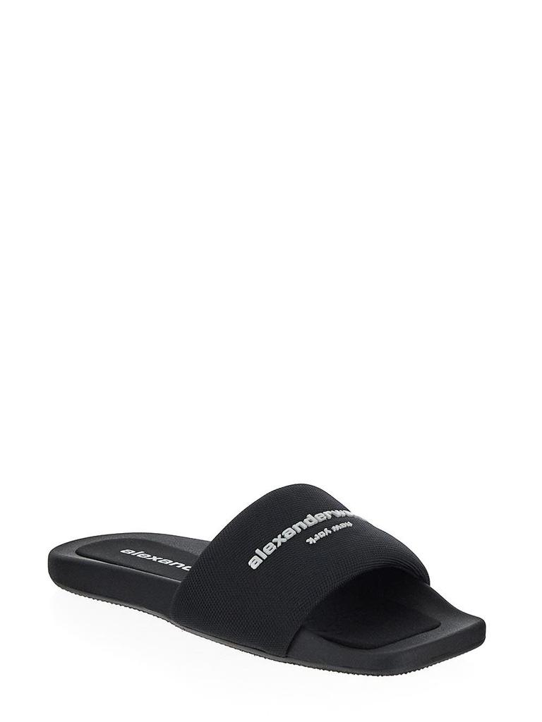Alexander Wang Logo Slide