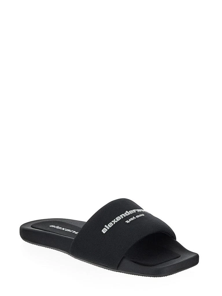 Alexander Wang Logo Slide 2
